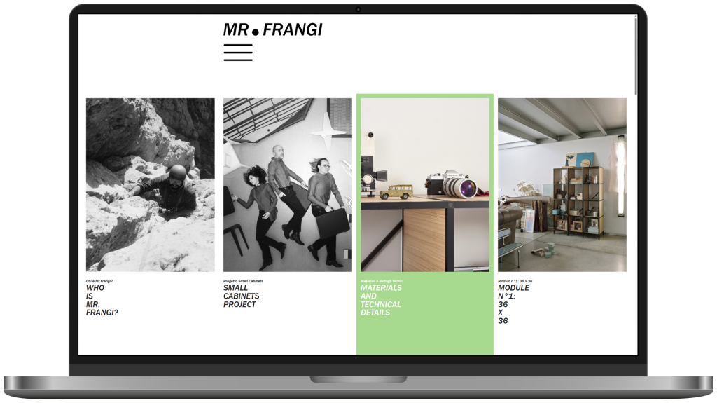 Mr. Frangi